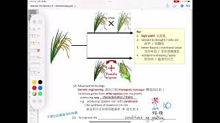 Lo Sir Teaching DSE Biology  Core Genetics IV Biotechnology with enriched explanation [upl. by Shanna]