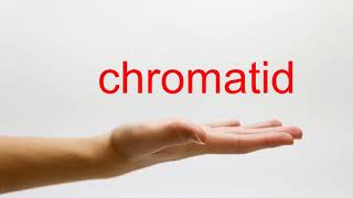 How to Pronounce chromatid  American English [upl. by Runstadler]