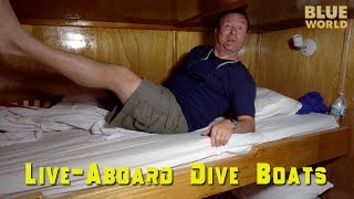 Liveaboard Tour  BLUE WORLD VLOG [upl. by Thom]