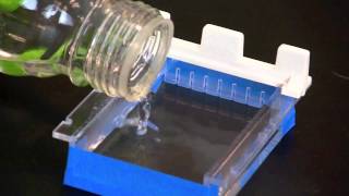 Casting an Agarose Gel [upl. by Alston]