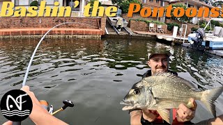 BREAM Fishing in my FIRST Kayak Competition Forster NSW [upl. by Hajar]