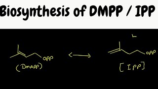 DMPP  IPP Biosynthesis mechanism [upl. by Gaiser]