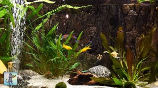 Relaxing Aquarium Fish Tank Sounds  NO MUSIC 🐟 [upl. by Maddeu]