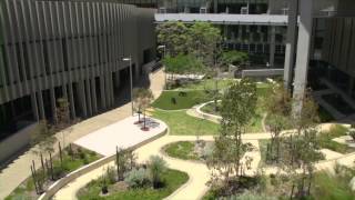 Fiona Stanley Hospital  a healing landscape [upl. by Kciredorb]