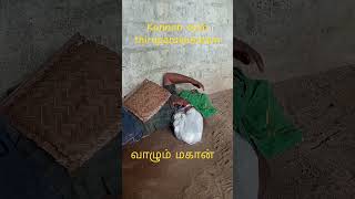 Kannan ayya thiriparakundram madurai சித்தர்கள்ரகசியம் agathiyar சித்தர்வாக்கு [upl. by Chadd]