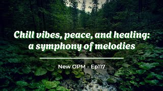 Carried 🌸 Chill vibes peace and healing a symphony of melodies ☕ Ep117 [upl. by Oinotnas185]