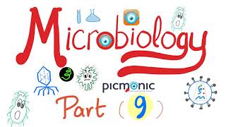 Microbiology Gram   Campylobacter jejuni Vibrio cholera Ecoli Klebsiella  Picmonic Part 9 [upl. by Dnomhcir]