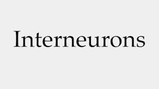 How to Pronounce Interneurons [upl. by Annawit]