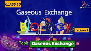 Gaseous Exchanges EXPLAINED in Biology I CLASS 10 I Unit 1 I lect 1 I Biology penacademy [upl. by Ahsila717]