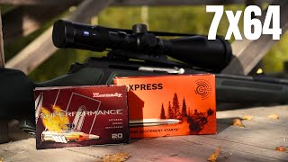 7x64 Hornady Super Performance VS Geco Express AMMO TEST [upl. by Schubert161]