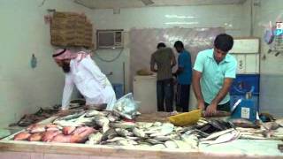 Qunfetha fish market سوق السمك بالقنفذة [upl. by Ahsocin]