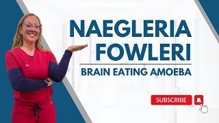 Case study 64  Neurosurgeon explains naegleria fowleri  brain eating amoeba [upl. by Beutner]