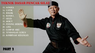 Mastering Advanced Pencak Silat Techniques Part 2 [upl. by Lloyd]