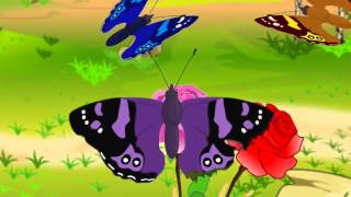 Maths  Symmetry in nature  Animation  English [upl. by Annael]