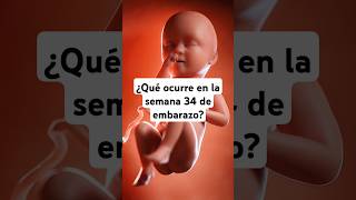 🤔 ¿Qué ocurre en la semana 34 de embarazo 🤰 Síntomas y desarrollo del bebé [upl. by Darline]