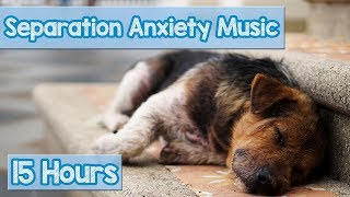 15 HOURS of Deep Separation Anxiety Music for Dog Relaxation Helped 4 Million Dogs Worldwide NEW [upl. by Rocray388]