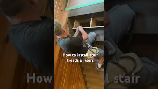 How To Install Stair Treads amp Risers carpenter carpentry woodworking stairs youtube short [upl. by Eidnak]