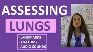 Lung Auscultation Landmarks Sounds Placement Nursing  Assessing Lungs Part 1 [upl. by Mattox347]