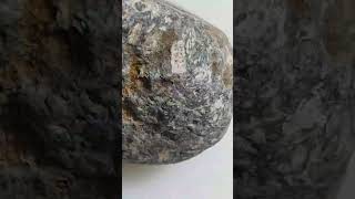 🤑😇 METEORITE 🤪 carbonaceous cut ✂️ revealed for an expert eyes 👀 😳 wow 👌 [upl. by Uile]