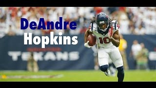 Deandre Hopkins Highlights  HD [upl. by Phaidra948]