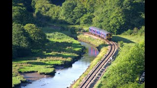 Drivers eye view of the Looe Valley Line [upl. by Tenneb]