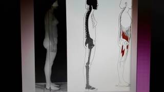 POSTURE ☆ Abnormal posture and postural analysis [upl. by Anoblav739]