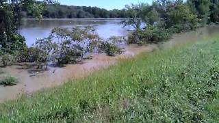 Ct River flooding 82911 from Hatfield MA Main St Dike [upl. by Nager]