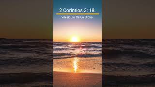 2 Corintios 318 Versículo De La Biblia [upl. by Prima]