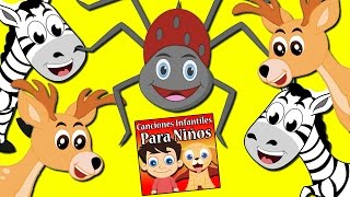 Incy Wincy Araña y mucho más ¡20 Minutos  Canciones Infantiles Para Niños  Rondas Infantiles [upl. by Kcire]