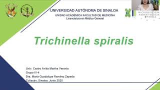 8Trichinella spiralis [upl. by Haida132]