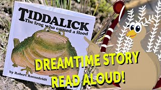 🪃 Tiddalick the frog who caused a flood  Dreamtime story read aloud [upl. by Yddet]