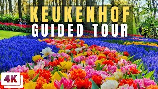 Keukenhof Full Guided Tour [upl. by Aiehtela]