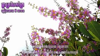 ផ្កាត្របែកព្រៃ ឌីសាខន Pka trobaek prey  Dy Sakhon [upl. by Coplin]