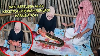 🔴 TEREKAM JELAS  BAYI ULAR BERUBAH WUJUD MENJADI MANUSIA ASLI [upl. by Nickolaus]