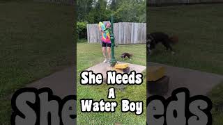 She Needs A Water Boy [upl. by Chico]