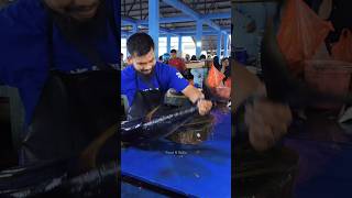 Amazing expert in cutting fresh tuna that has just been fished tuna seafood fish streetfood [upl. by Gnoc531]