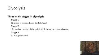 Biochemistry SimplifiedGlycolysis [upl. by Delora580]