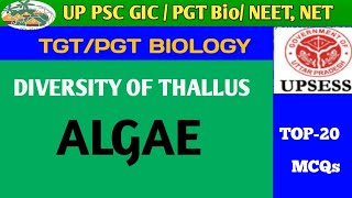 ALGAE MORPHOLOGY SHAPE STRUCTURE [upl. by Alyahsat]