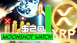 🔴 XRP LIVE MOONSHOT PRICE WATCH 🔴 🚀🌓 XRPMUSIC [upl. by Ahsienat]