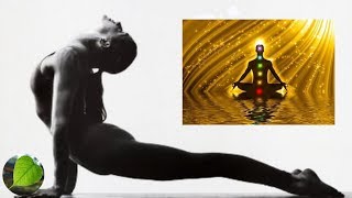 Suối Nguồn Tươi Trẻ  5 Thức Tập Yoga Tây Tạng [upl. by Odama861]