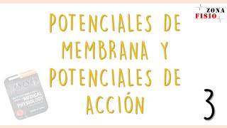 FISIOLOGÍA POTENCIALES DE MEMBRANA Y POTENCIALES DE ACCIÓN  E3  FASES DEL POTENCIAL ACCIÓN [upl. by Eed]