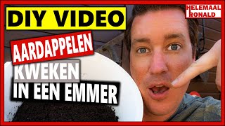 AARDAPPELEN KWEKEN IN EEN EMMER  DIY VIDEO  Aardappelen poten in potten en emmers [upl. by Toiboid]