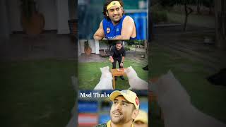 Ms Dhoni💖Animal lover thala dhoni dhoniforever msdhoni [upl. by Acilejna]