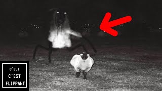 7 vidéos EFFRAYANTES qui te donneront des SUEURS FROIDES PARANORMAL 2022 [upl. by Merrielle]