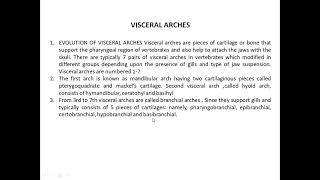 Comparative Zoology Jaw Suspension Visceral arches [upl. by Ahnavas]