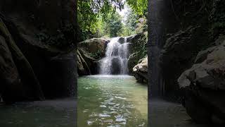 Aliran Curug hordeng Cibadak Sukamakmur Bogor jawabarat curugindonesia [upl. by Healy470]