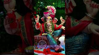 Ganpati Bappa in my house in the year 2023 ganesh helpingnaturevikrama [upl. by Lati987]