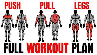 The Smartest Push Pull Legs Routine Fully Explained💪 [upl. by Ardnuahc]