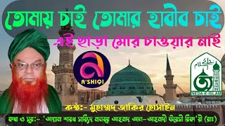 তোমায় চাই তোমার হাবীব চাই Tumay Chai Tumar Habib Chai Allama Shaykh Sayeed Manzoor Ahmad Ra [upl. by Annaer835]