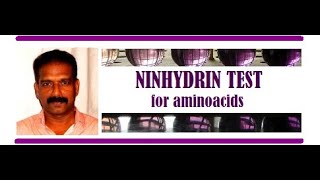 NINHYDRIN Test for Amino acids and Proteins [upl. by Edgar91]